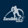 excellent ice logo